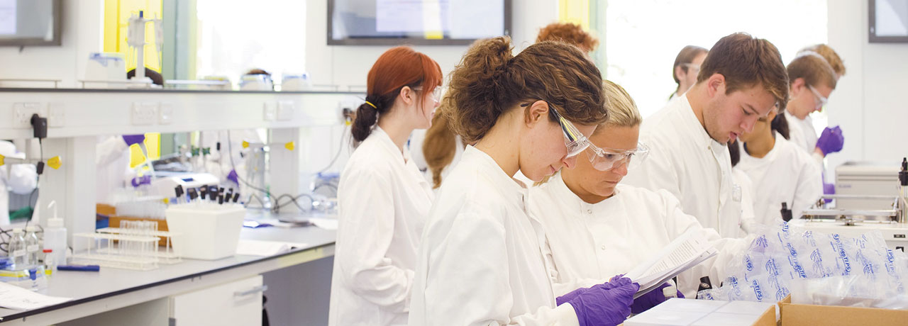 Students at work in the laboratory